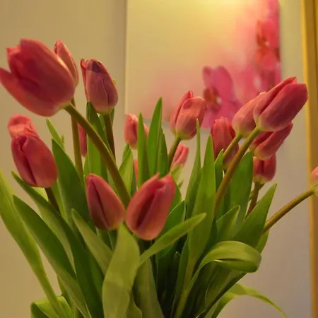 Apartment Apartament Orchidea *