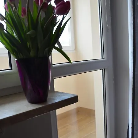 Apartament Orchidea *